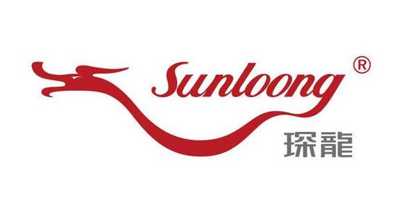 珠海市深龙船厂有限公司